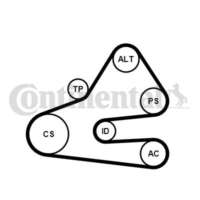 CONTI-6PK1613K1.jpg