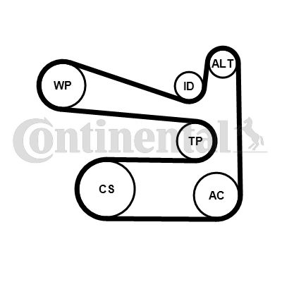 CONTI-6PK1693WP1.jpg