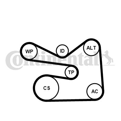 CONTI-6PK1733K3.jpg