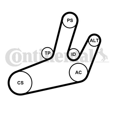 CONTI-6PK1780K1.jpg