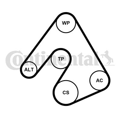 CONTI-6PK2490WP1.jpg