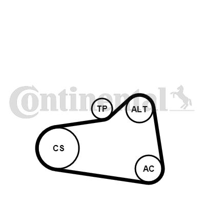CONTI-6PK905EXTRAK1.jpg