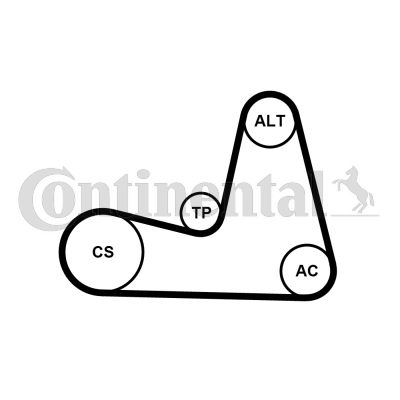 CONTI-7PK1035K1.jpg