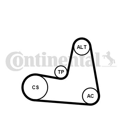 CONTI-7PK1125K1.jpg