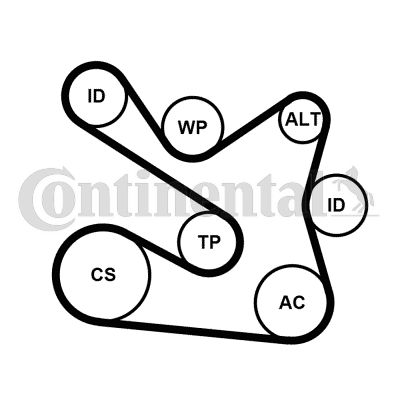 CONTI-7PK1605K1.jpg