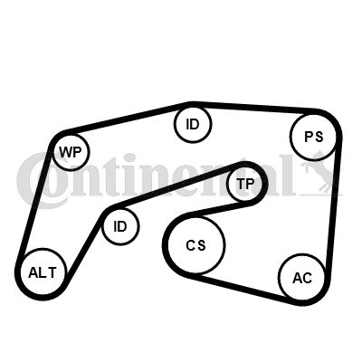 CONTI-7PK2035K1.jpg