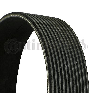 CONTI-9PK1900.jpg