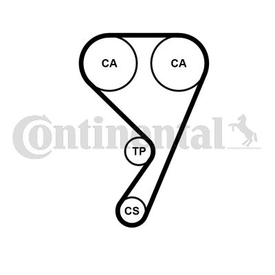 CONTI-CT1211WP1.jpg