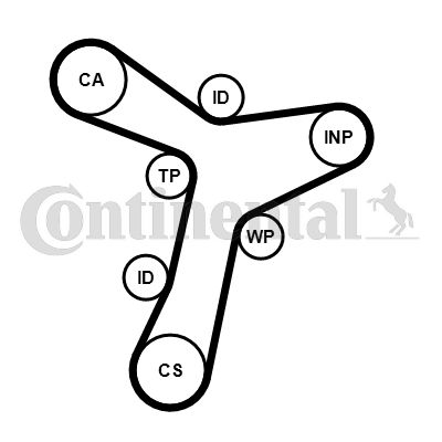 CONTI-CT1229.jpg