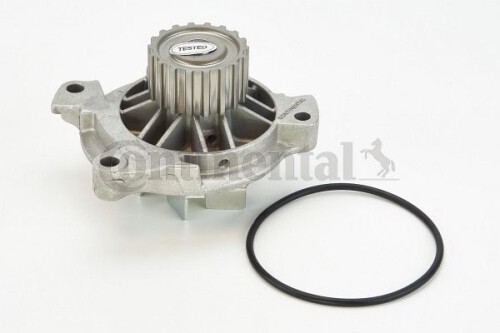 CONTI-WP6059.jpg