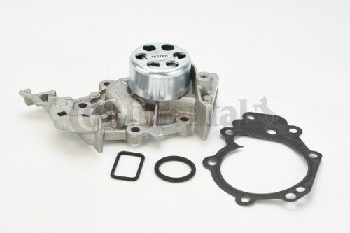 CONTI-WP6081.jpg