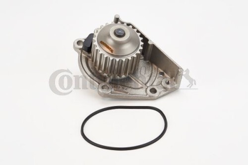 CONTI-WP6083.jpg