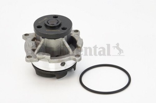 CONTI-WP6084.jpg