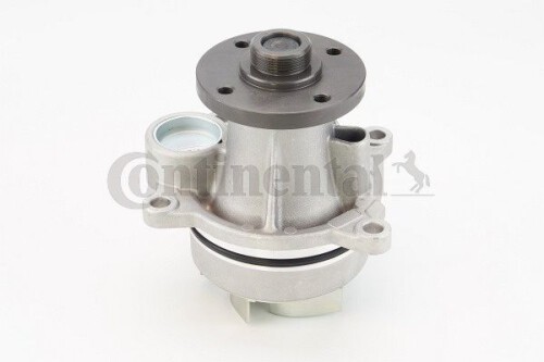 CONTI-WP6135.jpg