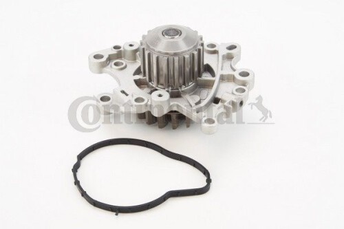 CONTI-WP6136.jpg