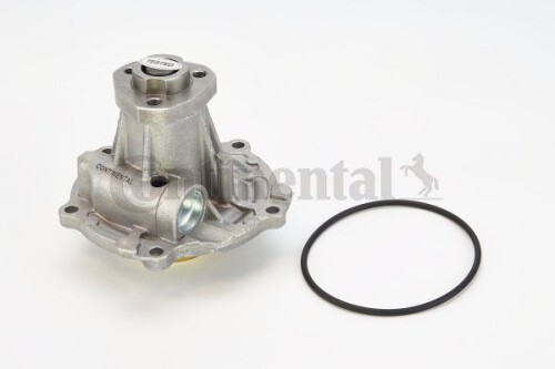 CONTI-WPS3010.jpg