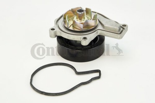 CONTI-WPS3029.jpg