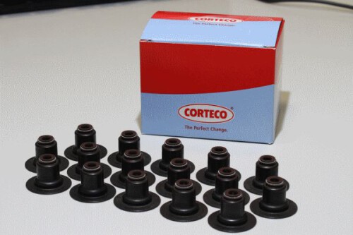 CORTECO-19033402.jpg