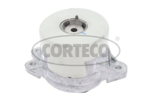CORTECO-49373836.jpg