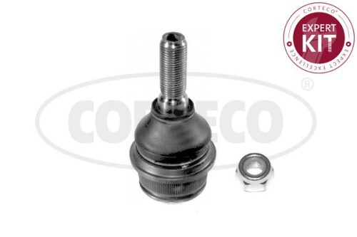 CORTECO-49395305.jpg