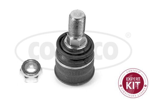 CORTECO-49395876.jpg