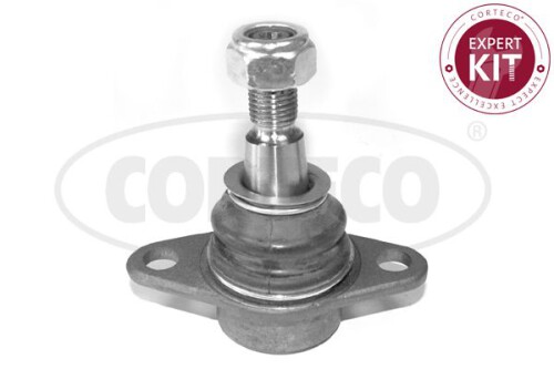 CORTECO-49395935.jpg