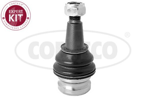 CORTECO-49395958.jpg