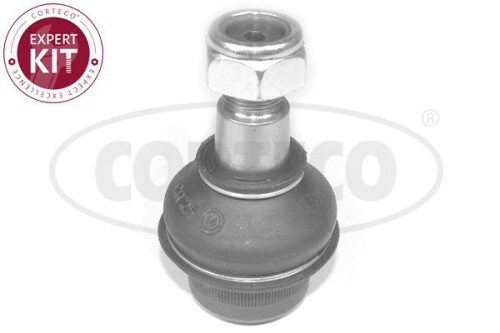 CORTECO-49398452.jpg