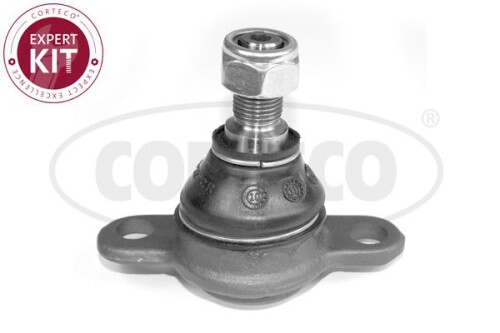 CORTECO-49398456.jpg