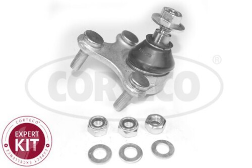 CORTECO-49398491.jpg
