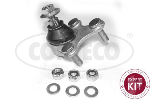 CORTECO-49398495.jpg