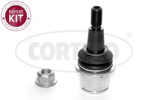 CORTECO-49398707.jpg