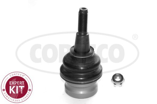 CORTECO-49398755.jpg