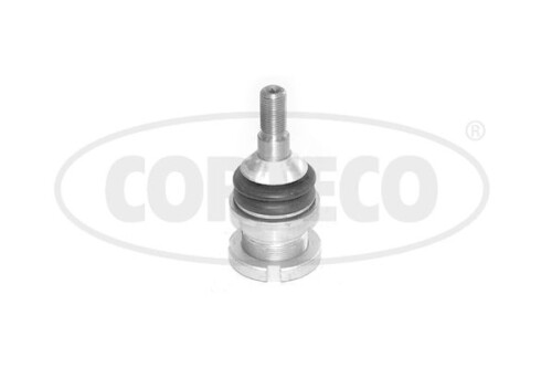 CORTECO-49398857.jpg