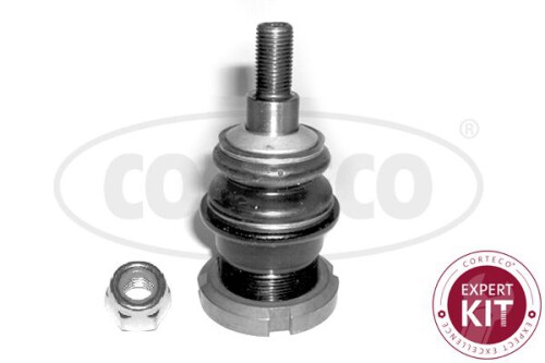 CORTECO-49398993.jpg