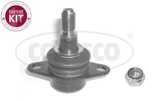 CORTECO-49399098.jpg