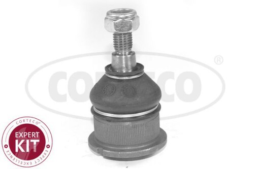 CORTECO-49399251.jpg