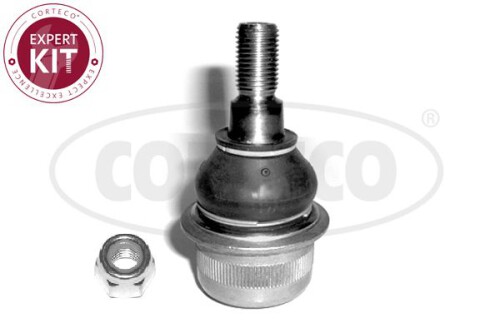 CORTECO-49399324.jpg