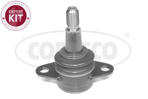 CORTECO-49399490.jpg