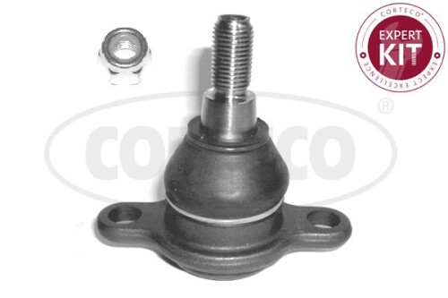 CORTECO-49399739.jpg