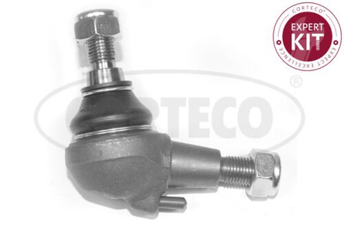 CORTECO-49400264.jpg