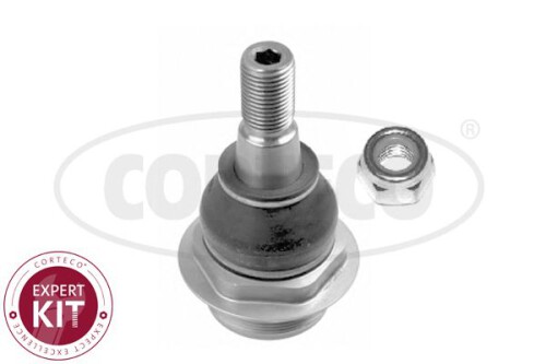 CORTECO-49400516.jpg