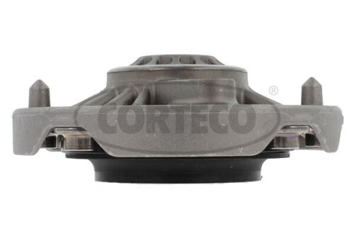 CORTECO-49412463.jpg