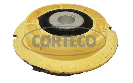 CORTECO-49419439.jpg