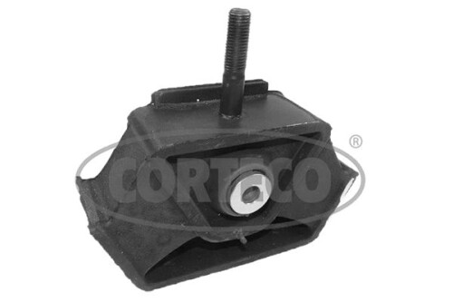 CORTECO-49427496.jpg