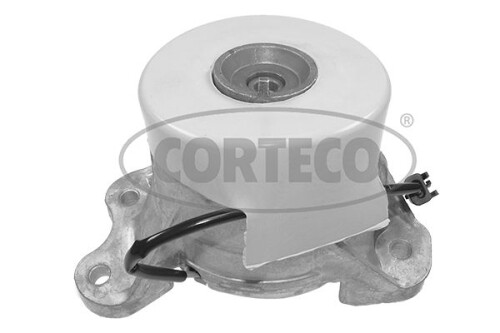 CORTECO-49427602.jpg