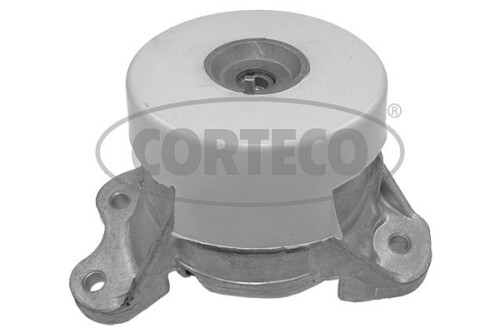 CORTECO-49427626.jpg