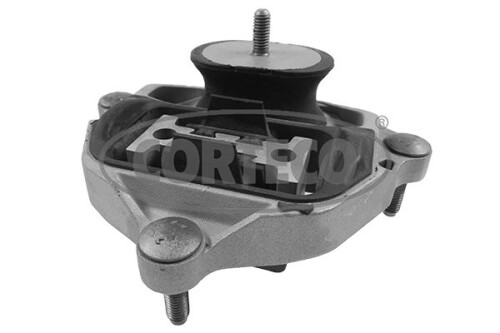 CORTECO-49432299.jpg