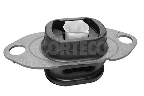 CORTECO-49469669.jpg