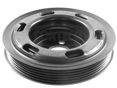 CORTECO-80001537.jpg